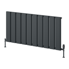 Reina Caldaro Horizontal Aluminium Radiator