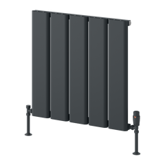 Reina Caldaro Horizontal Aluminium Radiator