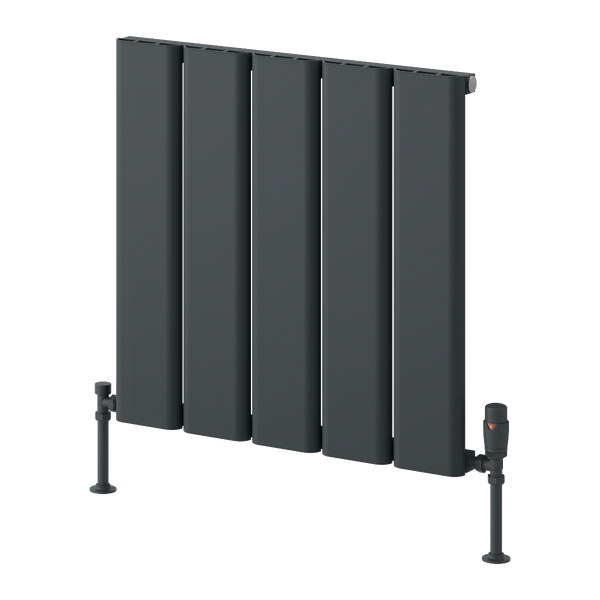 Reina Caldaro Horizontal Aluminium Radiator