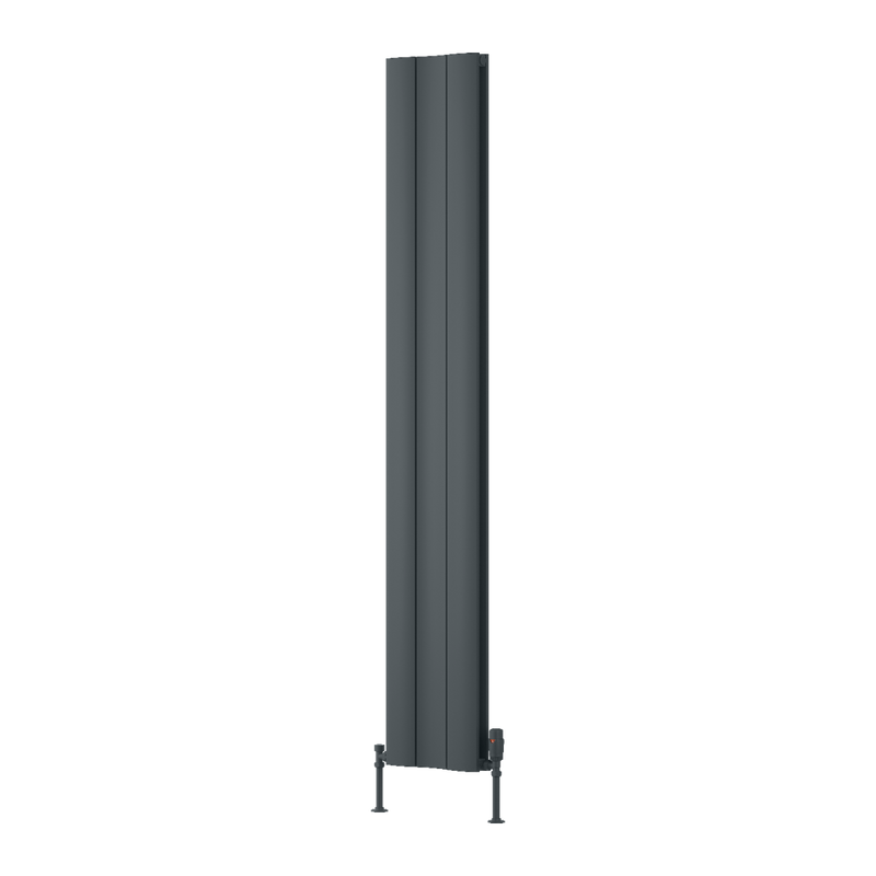 reina gia vertical radiator 10