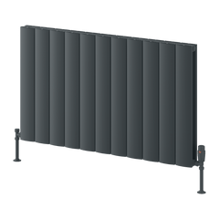 Reina Loco Horizontal Double Aluminium Radiator