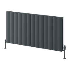 Reina Loco Horizontal Double Aluminium Radiator