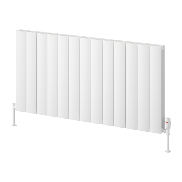 Reina Loco Horizontal Double Aluminium Radiator