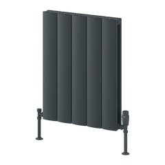 Reina Loco Horizontal Double Aluminium Radiator