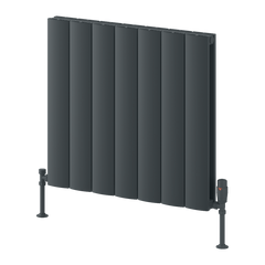 Reina Loco Horizontal Double Aluminium Radiator