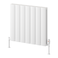 Reina Loco Horizontal Double Aluminium Radiator
