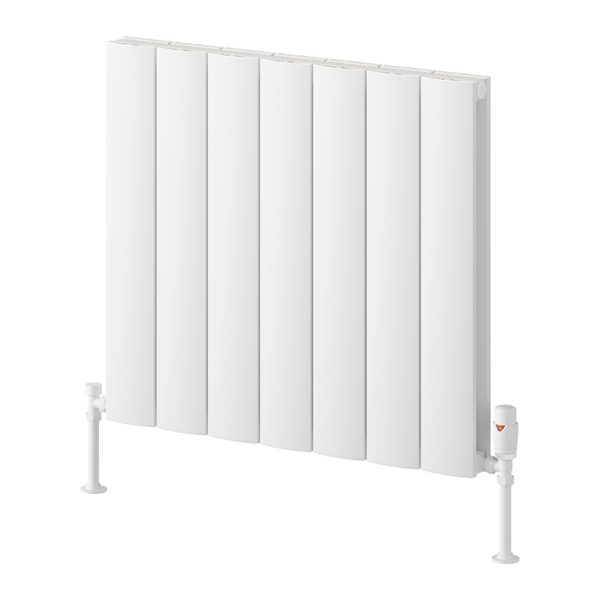 Reina Loco Horizontal Double Aluminium Radiator