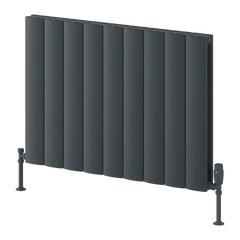 Reina Loco Horizontal Double Aluminium Radiator