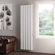 Faro Vertical Dry Element Aluminium Radiator