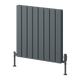 Reina Piatto Horizontal Aluminium Radiator