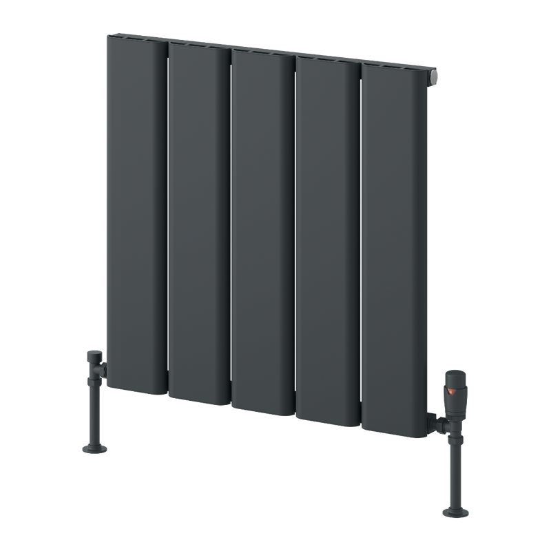Reina Caldaro Horizontal Aluminium Radiator