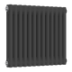 Reina Colona Horizontal Column Mild Steel Radiator