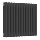 Reina Colona Horizontal Column Mild Steel Radiator