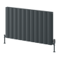Reina Loco Horizontal Double Aluminium Radiator