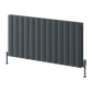 Reina Loco Horizontal Double Aluminium Radiator