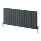 Reina Loco Horizontal Double Aluminium Radiator