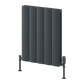 Reina Loco Horizontal Double Aluminium Radiator