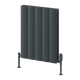 Reina Loco Horizontal Double Anthracite panel aluminium radiator 600 x 470mm
