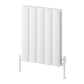 Reina Loco Horizontal Double Aluminium Radiator