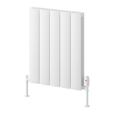 Reina Loco Horizontal Double Aluminium Radiator