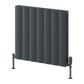 Reina Loco Horizontal Double Aluminium Radiator