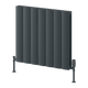 Reina Loco Horizontal Double Anthracite panel aluminium radiator 600 x 660mm