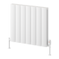 Reina Loco Horizontal Double Aluminium Radiator