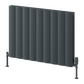 Reina Loco Horizontal Double Aluminium Radiator