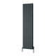 Reina Loco Vertical Double Anthracite panel aluminium radiator 1800 x 470mm