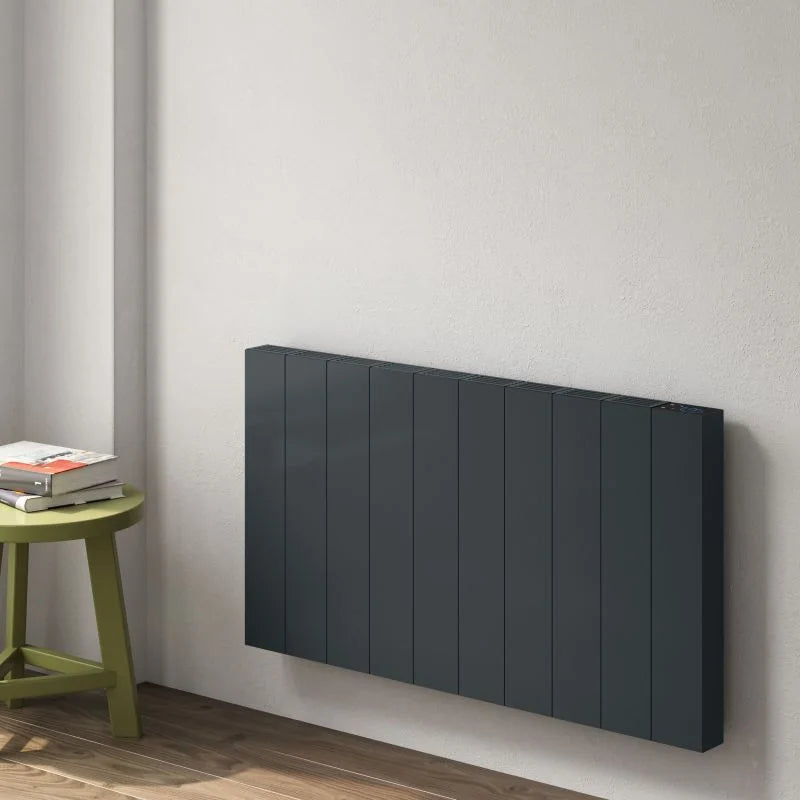Reina Nika Horizontal Dry Electric Heated Designer Radiator