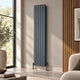 Reina Piatto Vertical Double Anthracite towel rail roomset