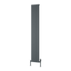 Reina Piatto Vertical Aluminium Radiator