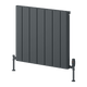 Reina Resia Horizontal Anthracite aluminium radiator 600 x 660mm